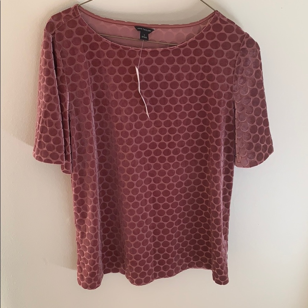 Ann Taylor size medium beautiful top